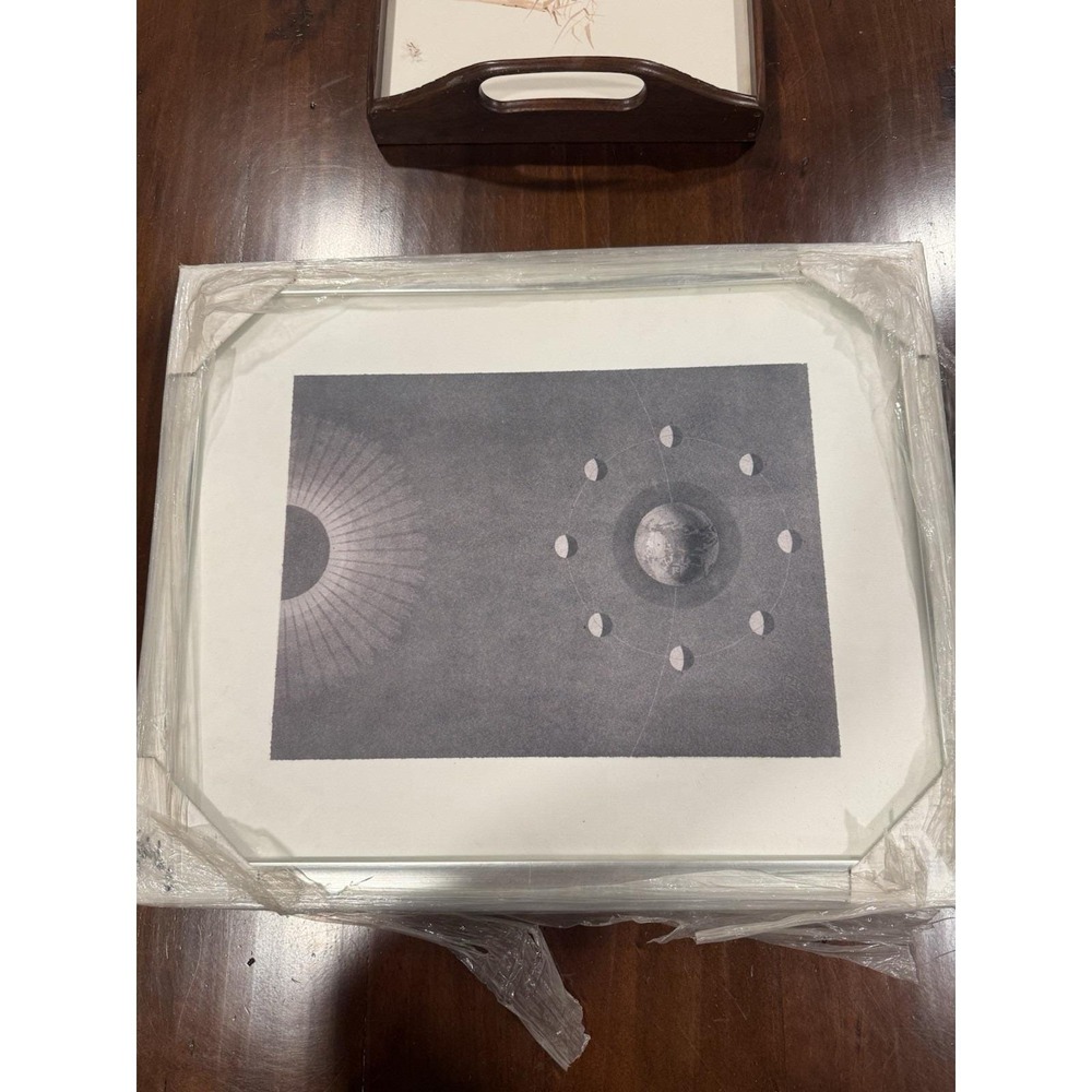 Natural Curiosities Visconti Celestials Framed Art Vis 1